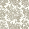 MARINE CORAL T10140